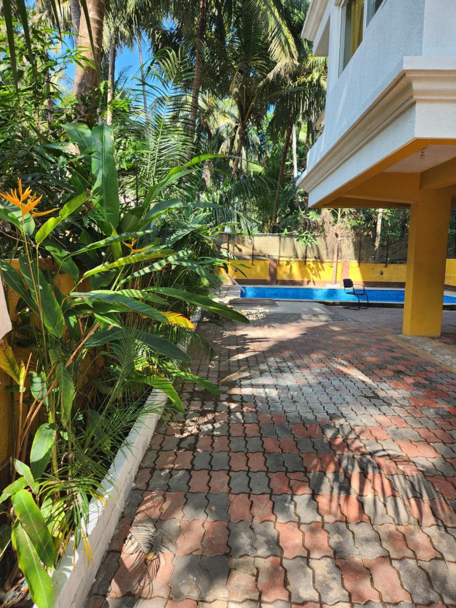 Luxury 2Bhk Apartment Near Calangute Baga Beach With Pool Екстер'єр фото
